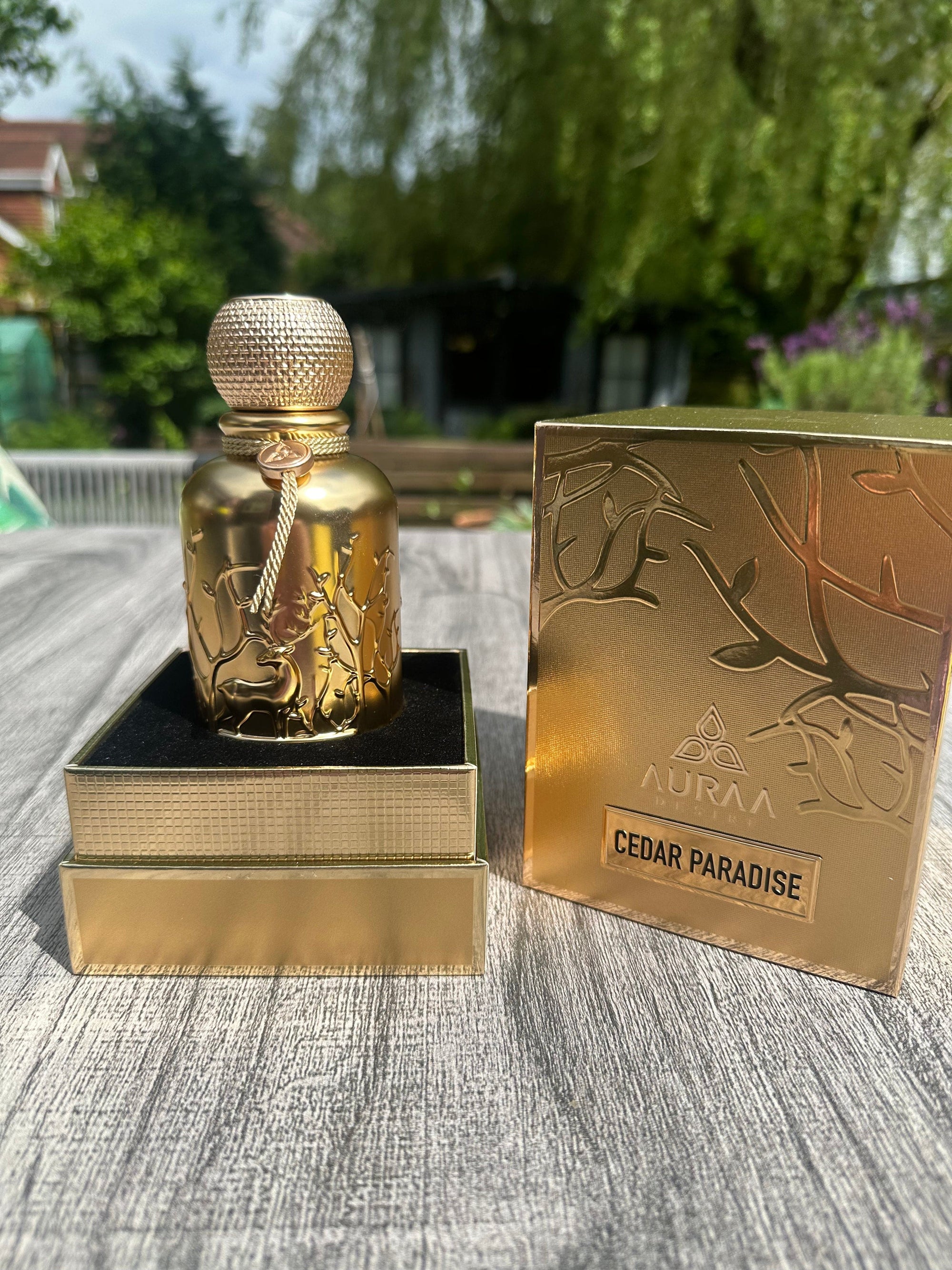 Cedar Paradise Extrait De Parfum 100ml Auraa Desire For Him Inspired By Oud For Greatness Initio Parfums Prives - Susie's Boutique